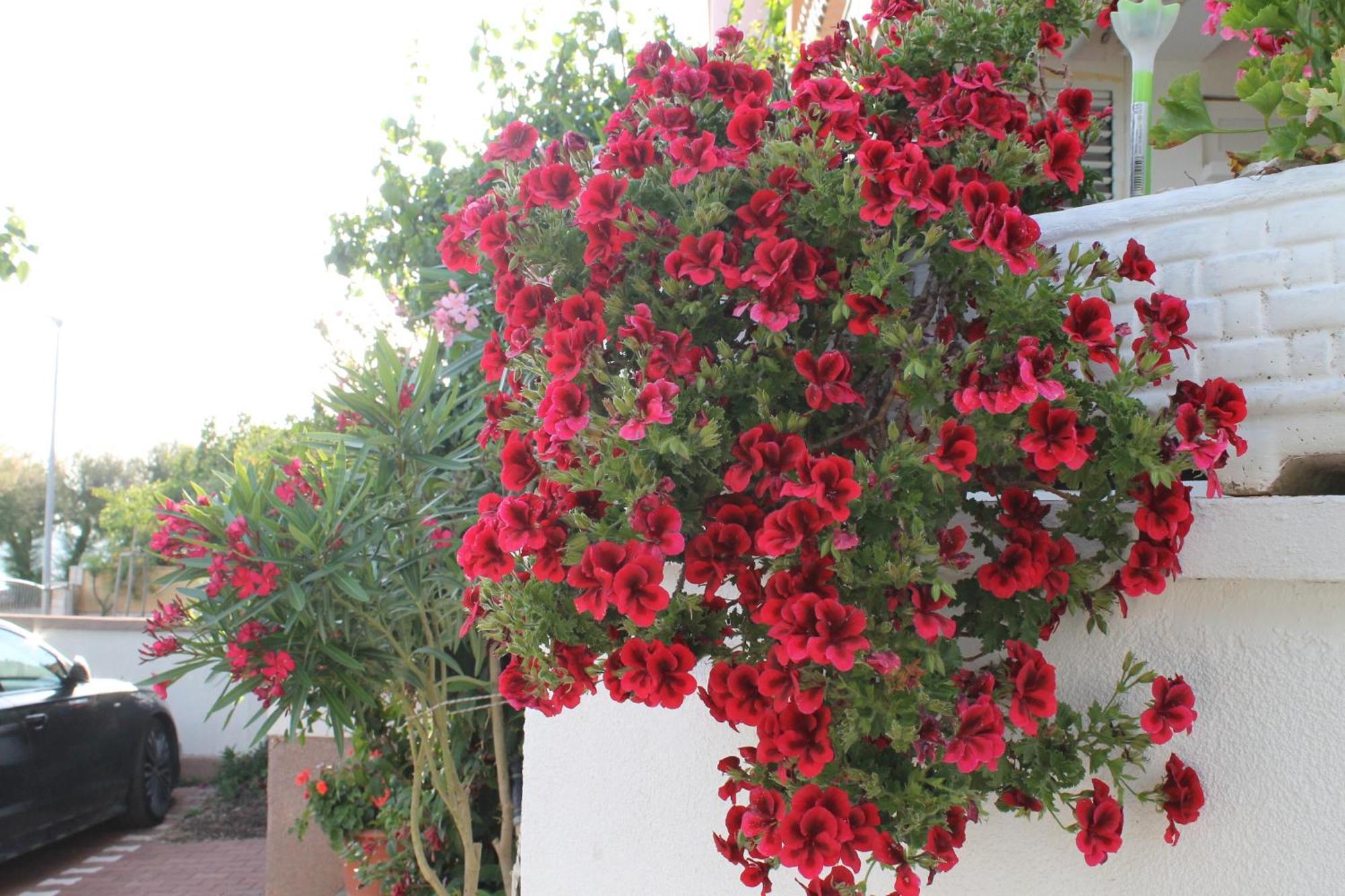 Villa Aurelia Vodice Esterno foto